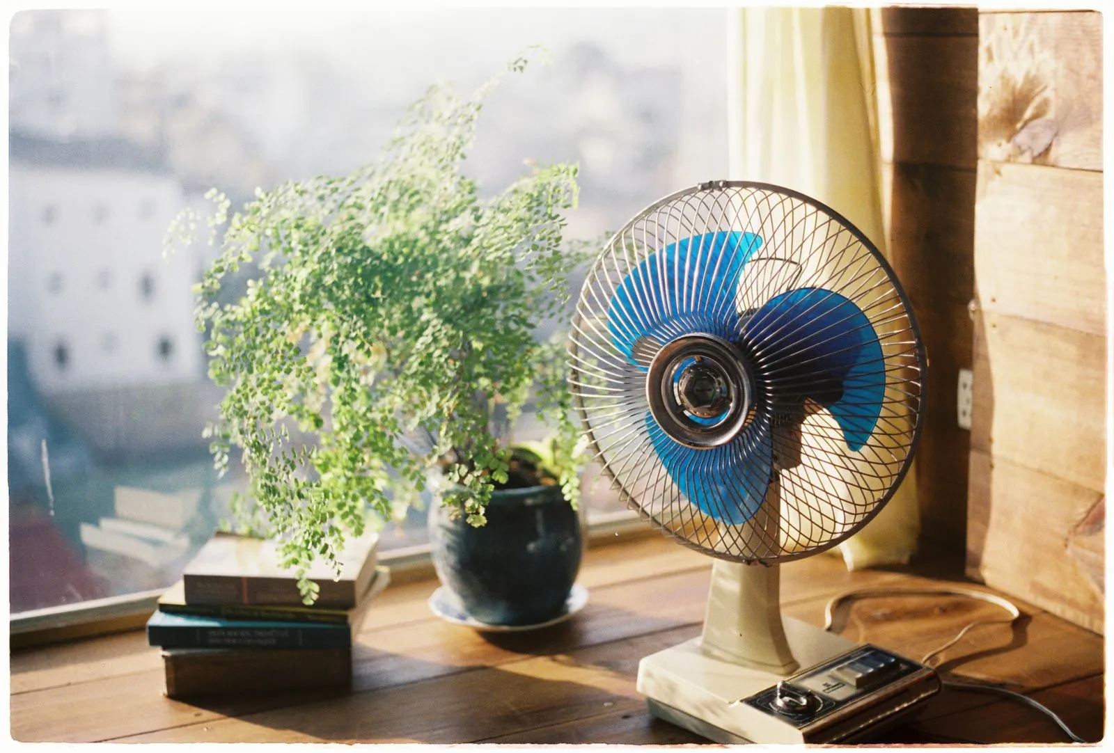 本と観葉植物が並ぶ窓辺に置かれた扇風機