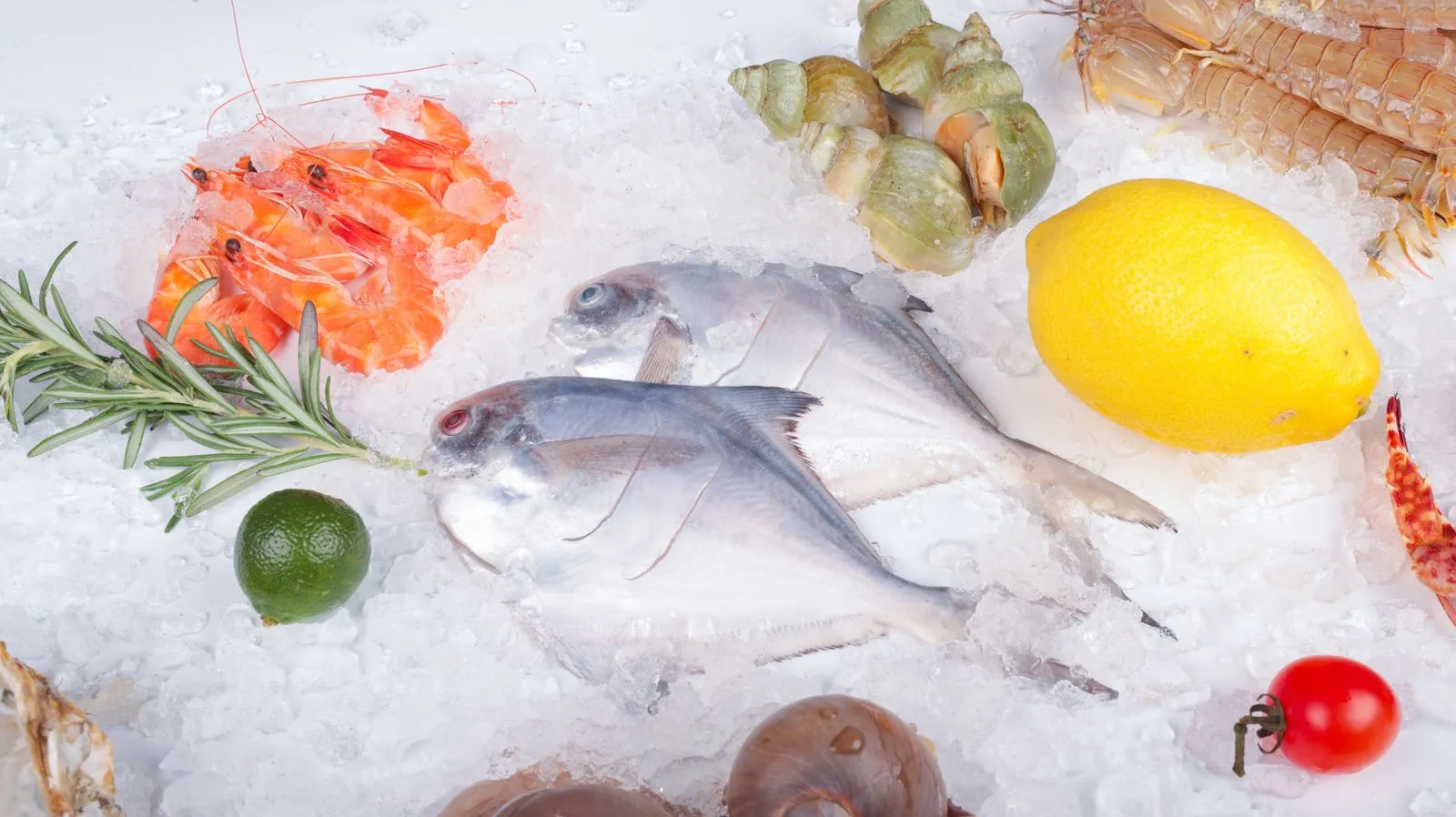 レモンと氷に囲まれた魚介類