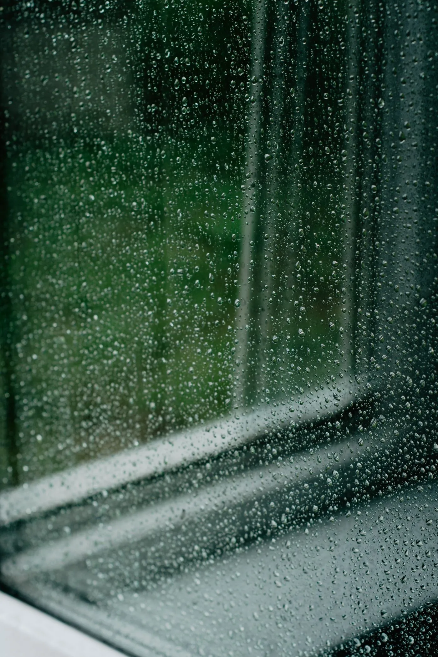 雨粒が流れる窓ガラスと、その向こうに見える緑