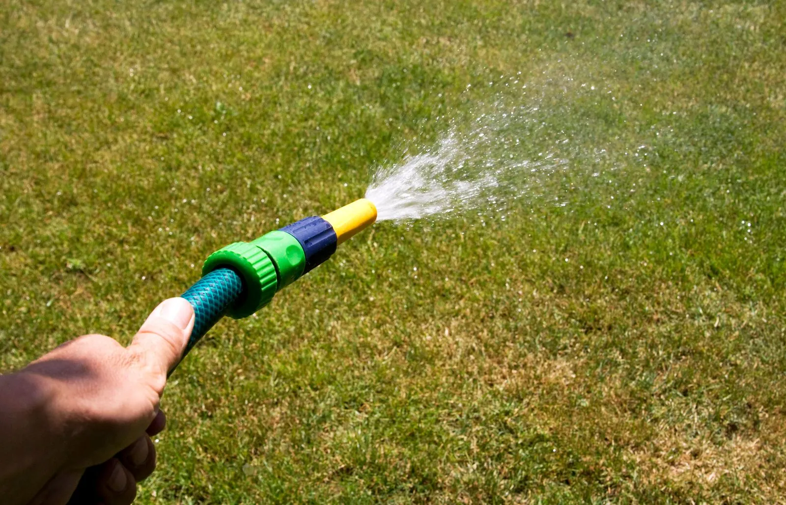 芝生に向けて水を撒く、ノズルを持つ手元