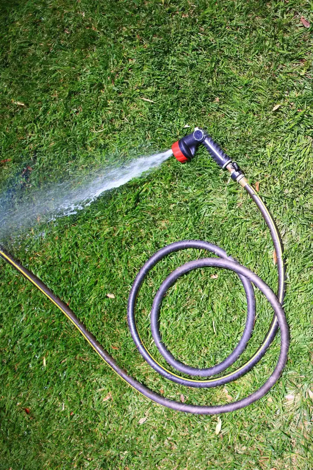 芝生の上に置かれたホースとノズルから水が出ている