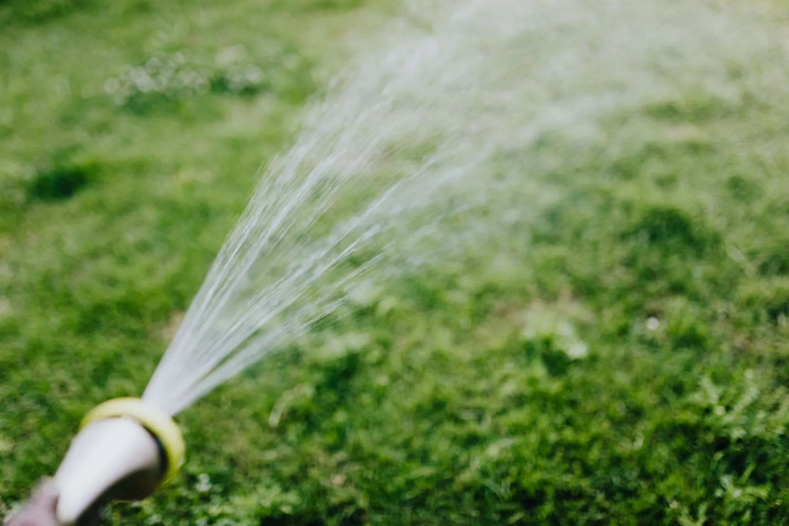黄色いリングのノズルの先から芝生に向かって噴き出す、水のクローズアップ