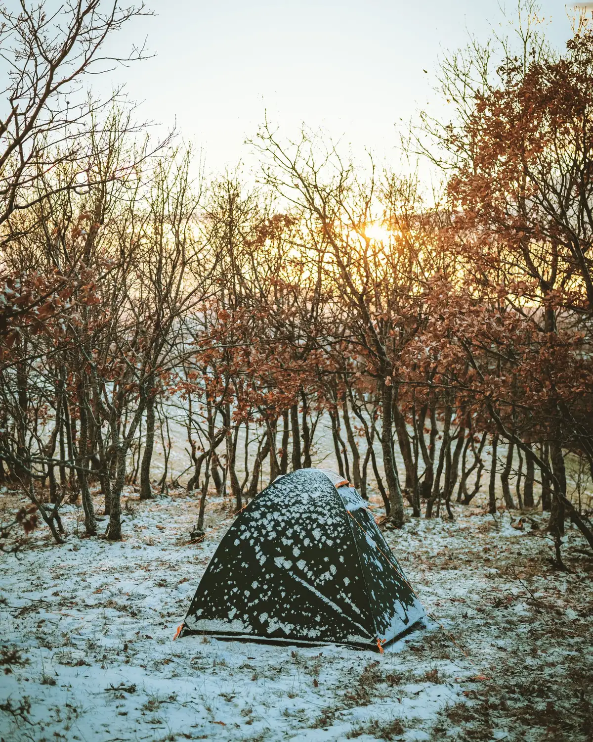 雪が積もった森でテントに朝日が差し込む様子