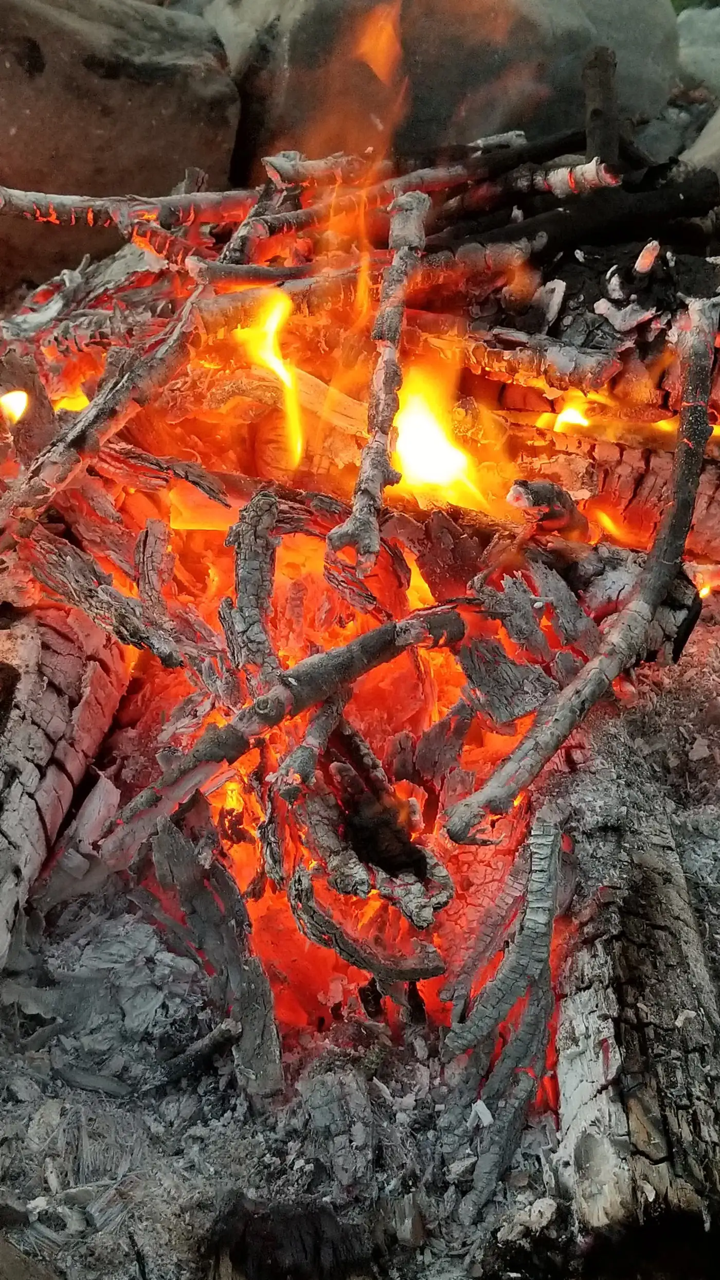 赤く燃える炭と、その上に重なった焼けた枝