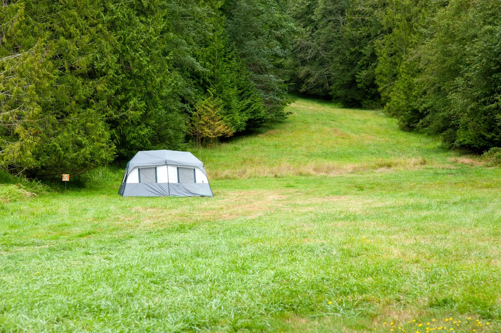 木々に囲まれた緑の草地にぽつんと立つテント